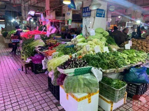 探访西南最大农批市场 菜价稳中略升,部分蔬菜发货量 大翻倍
