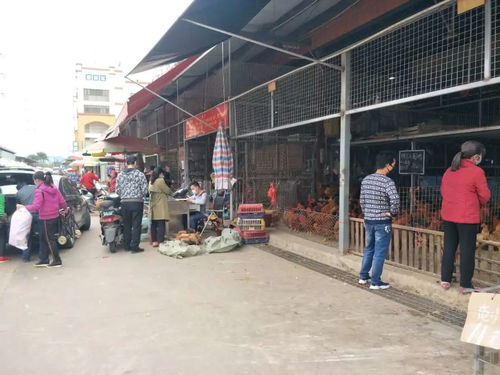 金桥农产品市场承诺守好群众 菜篮子 供应充足价格平稳