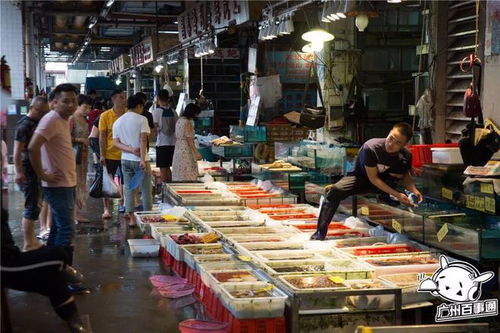 再见了，广州！营业29年的家具批发市场即将搬迁